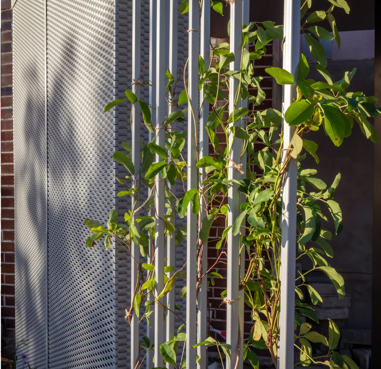 Zelený ostrov uprostřed zástavby.